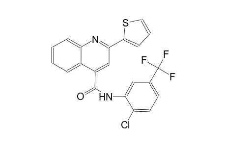 4-quinolinecarboxamide, N-[2-chloro-5-(trifluoromethyl)phenyl]-2-(2-thienyl)-