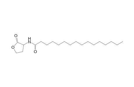 Hexadecanamide, N-(tetrahydro-2-oxo-3-furanyl)-