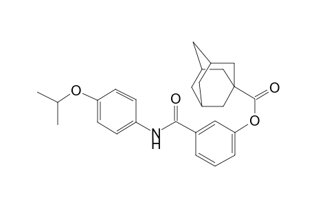 3-[(4-Isopropoxyanilino)carbonyl]phenyl 1-adamantanecarboxylate