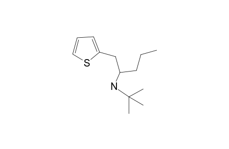 N-(t-Butyl)-1-(2'-thienyl)-2-propylpentyl-2-amine