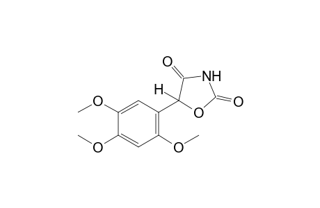 5-(2,4,5-trimethoxyphenyl)-2,4-oxazolidinedione