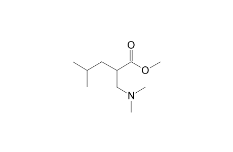 2-(Aminomethyl)-4-methylpentanoic acid, N,N-dimethyl-, methyl ester