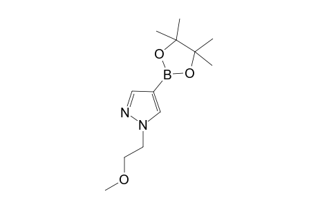 1-(2-METHOXYETHYL)-4-(4,4,5,5-TETRAMETHYL-1,3,2-DIOXABOROLAN-2-YL)-1H-PYRAZOLE
