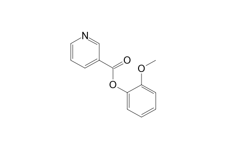nicotinic acid, o-methoxyphenyl ester
