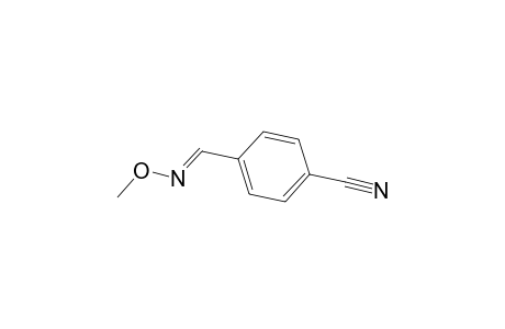 4-Cyano-benzaldehyde O-methyl-trans-oxime