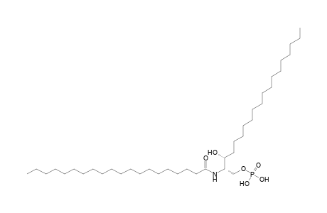 CerP 19:0;2O/20:0