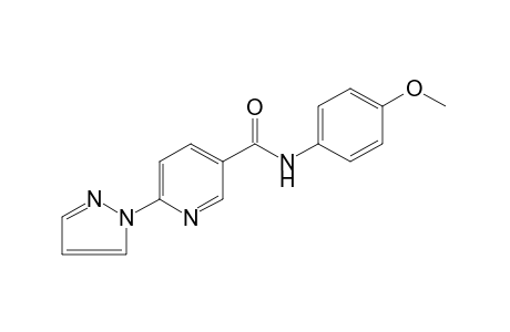 6-(PYRAZOL-1-YL)-p-NICOTINANISIDIDE