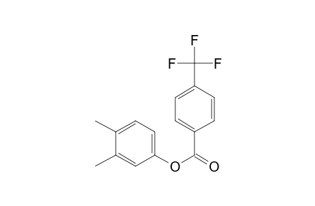 4-Trifluoromethylbenzoic acid, 3,4-dimethylphenyl ester