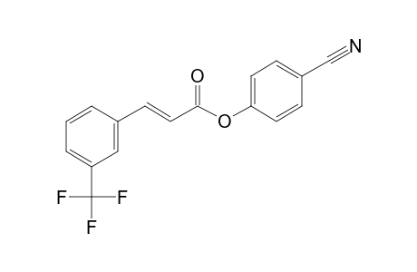 Trans-3-trifluoromethylcinnamic acid, 4-cyanophenyl ester