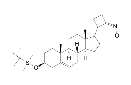 3-.xi.-[3'-(.beta.-tert-Butyldimethylsilyloxyandrost-5'-en-17.beta.-yl]-1-(hydroxyimino)cyclobutane