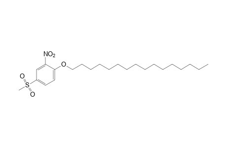hexadecyl 4-(methylsulfonyl)-2-nitrophenyl ether