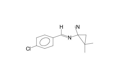 BVSSRIFAKWNNDY-FRKPEAEDSA-N