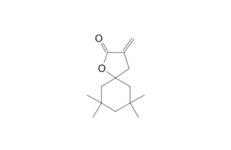 7,7,9,9-Tetramethyl-3-methylen-1-oxaspiro-[4.5]-decan-2-on