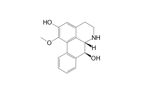 Nor-Pachyconfine