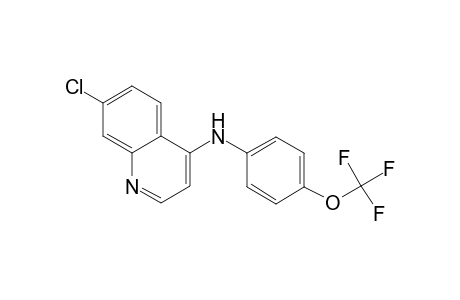 Quinolin-4-amine, 7-chloro-N-(4-trifluoromethoxyphenyl)-