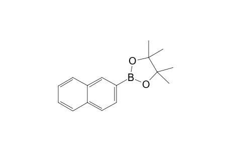 Naphthalene-2-boronic acid pinacol ester