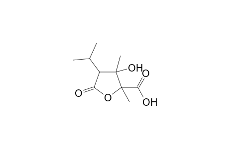 2,3-Dimethyl-3-hydroxy-4-isoproopyl-5-oxo-tetrahydrofuran-2-carboxylic Acid