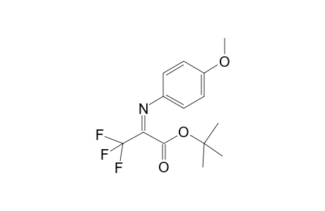 tert-Butyl 2-[N-(p-Methoxyphenyl)imino]-3,3,3-trifluoropropanoate