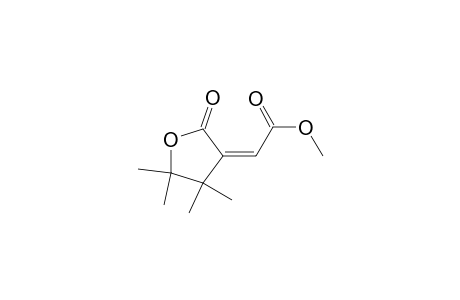 (E)-DIHYDRO-3-CARBOMETHOXY-METHYLENE-4,4,5,5-TETRAMETHYL-2(3H)-FURANONE