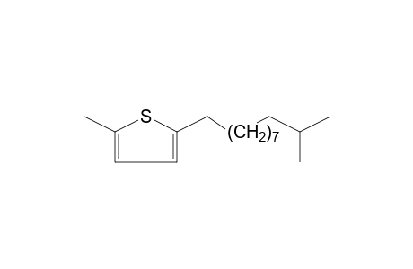 2-METHYL-5-(10-METHYLUNDECYL)THIOPHENE