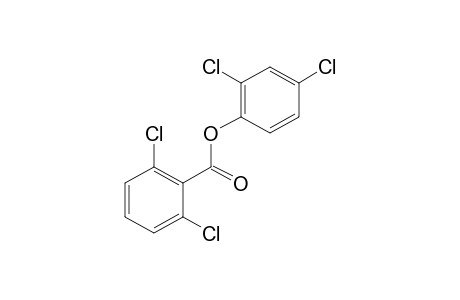 2,6-dichlorobenzoic acid, 2,4-dichlorophenyl ester