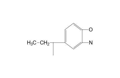 2-amino-4-sec-butylphenol