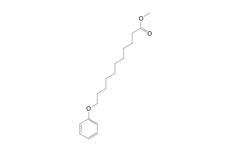 Methyl 11-phenoxyundecanoate
