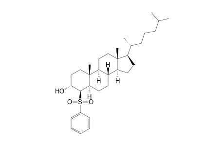 (3R,4R,5R,8S,9S,10R,13R,14S,17R)-10,13-dimethyl-17-[(2R)-6-methylheptan-2-yl]-4-(phenylsulfonyl)-2,3,4,5,6,7,8,9,11,12,14,15,16,17-tetradecahydro-1H-cyclopenta[a]phenanthren-3-ol