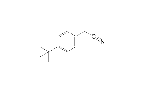 (p-tert-BUTYLPHENYL)ACETONITRILE