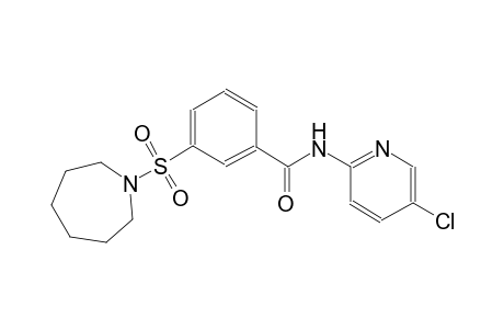 3-(1-azepanylsulfonyl)-N-(5-chloro-2-pyridinyl)benzamide