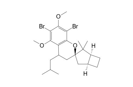 (+,-)-[1'.alpha.,3'.beta.,3'(R*),5'.alpha.]-6,8-dibromo-3,4-dihydro-5,7-dimethoxy-2',2'-dimethyl-4-(2-methylpropyl)spiro[2H-1-benzopyran-2,3'-bicyclo[3.2.0]heptane]