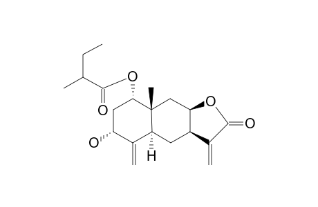 GRANILINE,1-(2'-METHYLBUTYRYL)