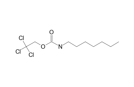 Carbonic acid, monoamide, N-heptyl-, 2,2,2-trichloroethyl ester