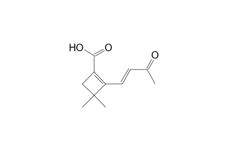 1-Buten-3-one, 1-(2-carboxyl-4,4-dimethylcyclobutenyl)-