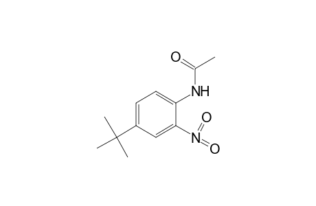 4'-tert-butyl-2'-nitroacetanilide