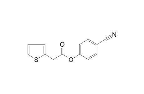 2-Thiopheneacetic acid, 4-cyanophenyl ester