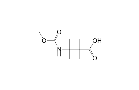 N-carboxy-2,2,3,3-tetramethyl-beta-alanine, N-methyl ester
