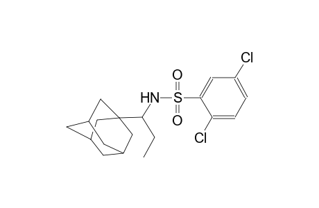 N-[1-(1-adamantyl)propyl]-2,5-dichlorobenzenesulfonamide