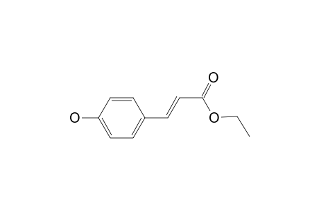 p-Hydroxycinnamicacid,ethyl ester