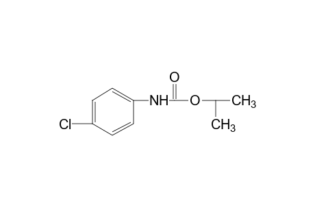 p-chlorocarbanilic acid, isopropyl ester