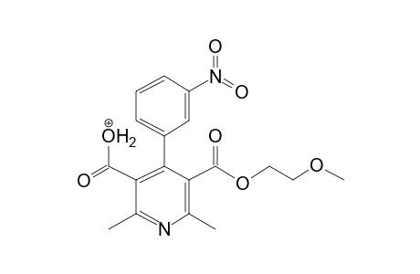 Nimodipine-M (dehydro-) MS3_1