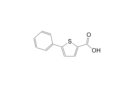 5-phenyl-2-thiophenecarboxylic acid