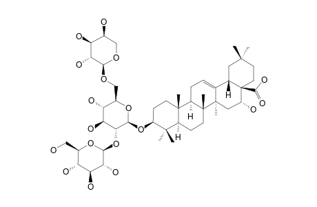 3-O-[ALPHA-L-ARABINOPYRANOSYL-(1->6)]-[BETA-D-GLUCOPYRANOSYL-(1->2)]-BETA-D-GLUCOPYRANOSYL-ECHINOCYSTIC-ACID