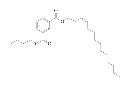 Isophthalic acid, butyl cis-tetradec-3-enyl ester