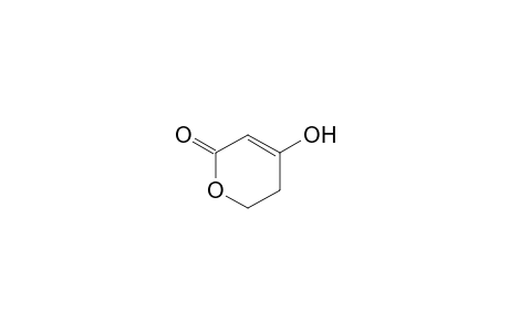 4-Hydroxy-5,6-dihydro-(2H)-pyran-2-one