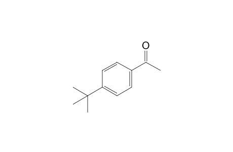 4'-tert-Butyl-acetophenone