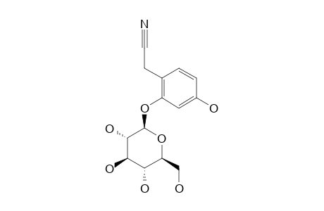 2-(2,4-DIHYDROXYPHENYL)-ACETONITRILE-2-O-BETA-D-GLUCOPYRANOSIDE