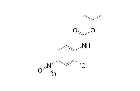 2-chloro-4-nitrocarbanilic acid, isopropyl ester