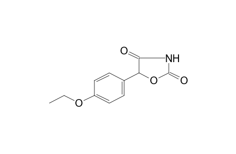 Oxazolidine-2,4-dione, 5-(4-ethoxyphenyl)-