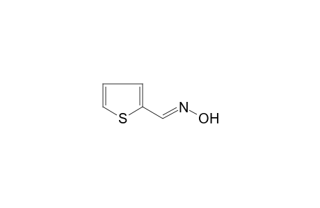 2-thiophenecarboxaldehyde, anti-oxime